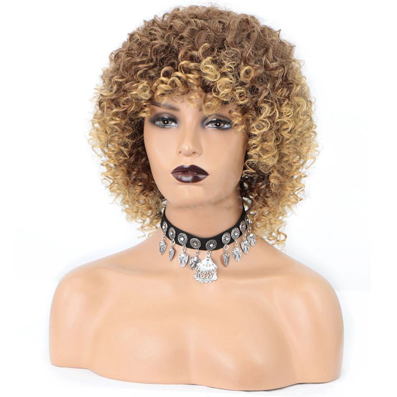 Fashion African Small Curly Ladies Wigs