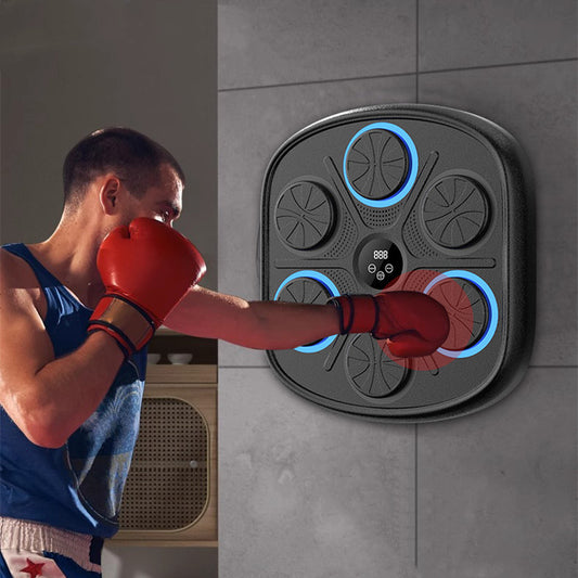 Music Boxing Wall Target Fitness Equipment