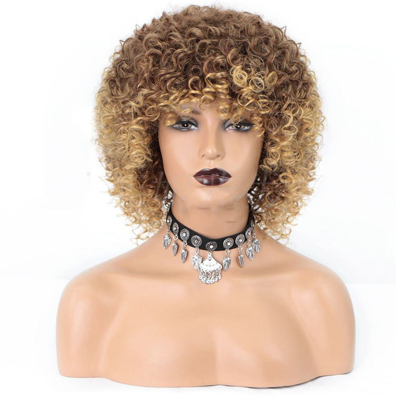 Fashion African Small Curly Ladies Wigs