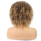 Fashion African Small Curly Ladies Wigs