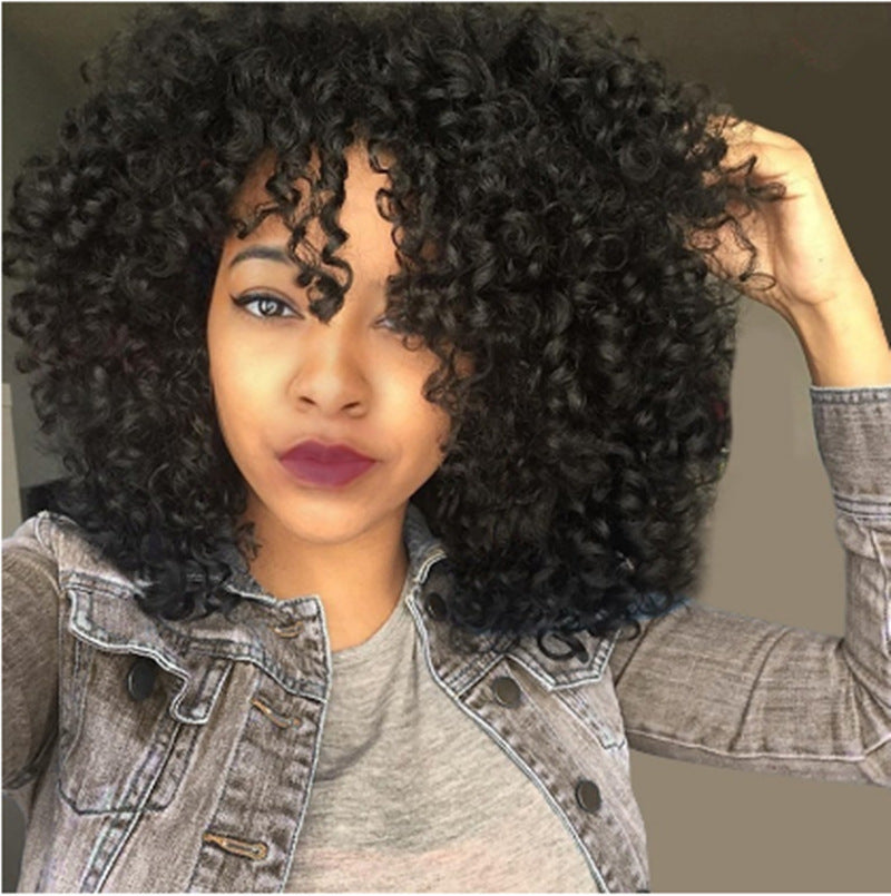 African Short Curly Hair Female Wigs