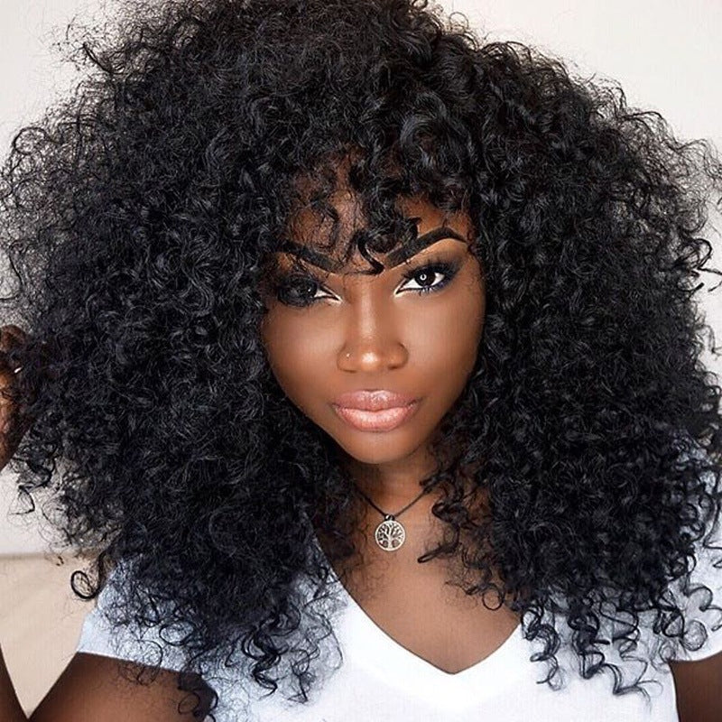 African Short Curly Hair Female Wigs