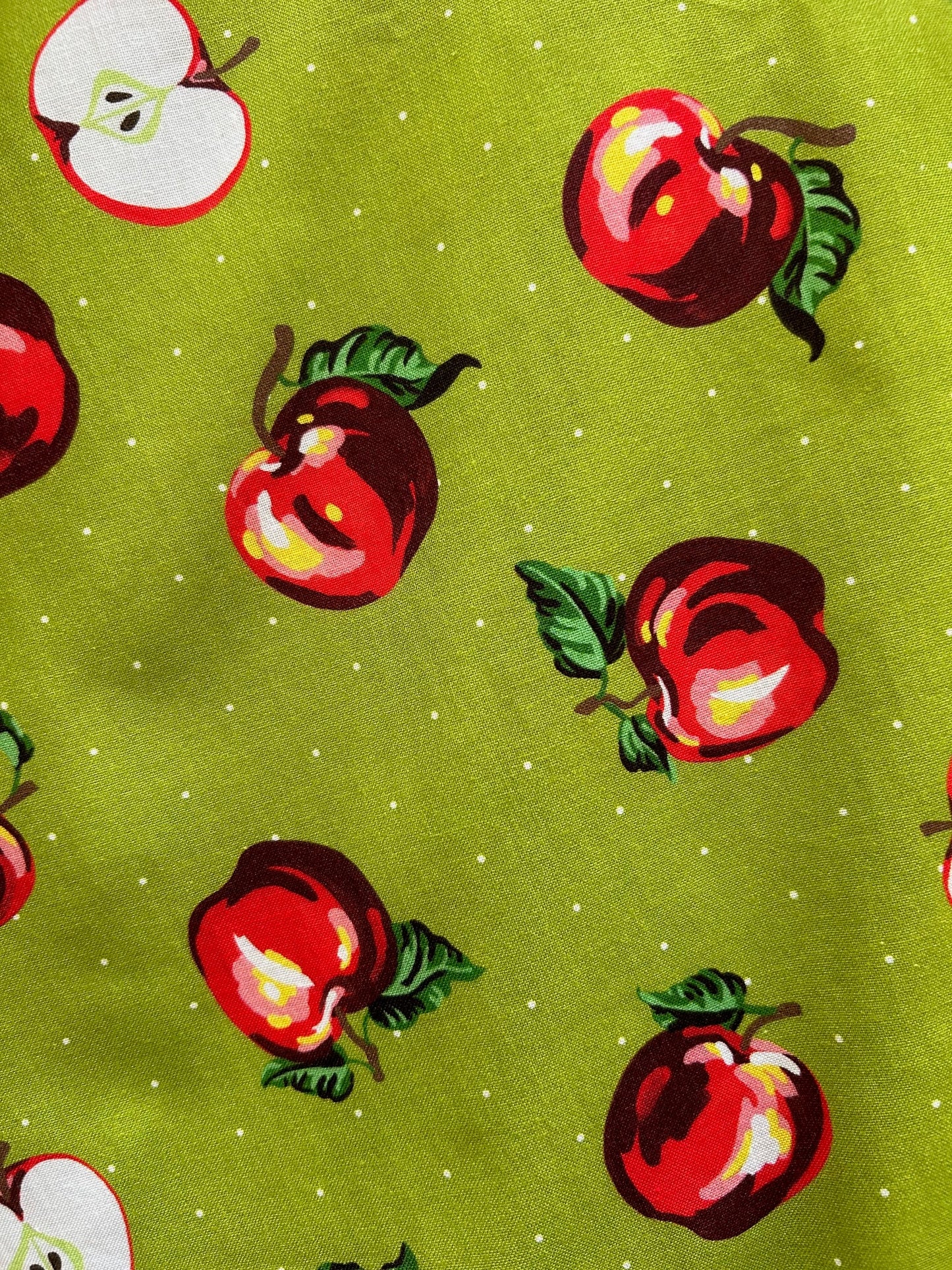 Apples Skater Skirt