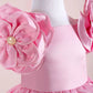 Rosa Pink Party Dress