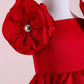 Rosa Red Party Dress