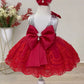Shay Silver & Red Party Dress