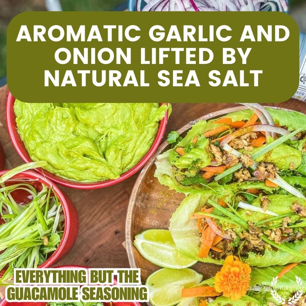 Everything But the All Natural Guacamole Seasoning