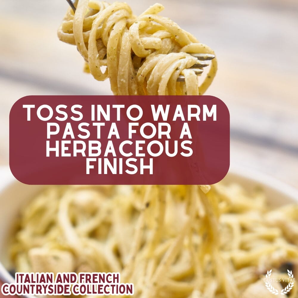 Italian and French Countryside Spice Blend Collection - 3 Tins