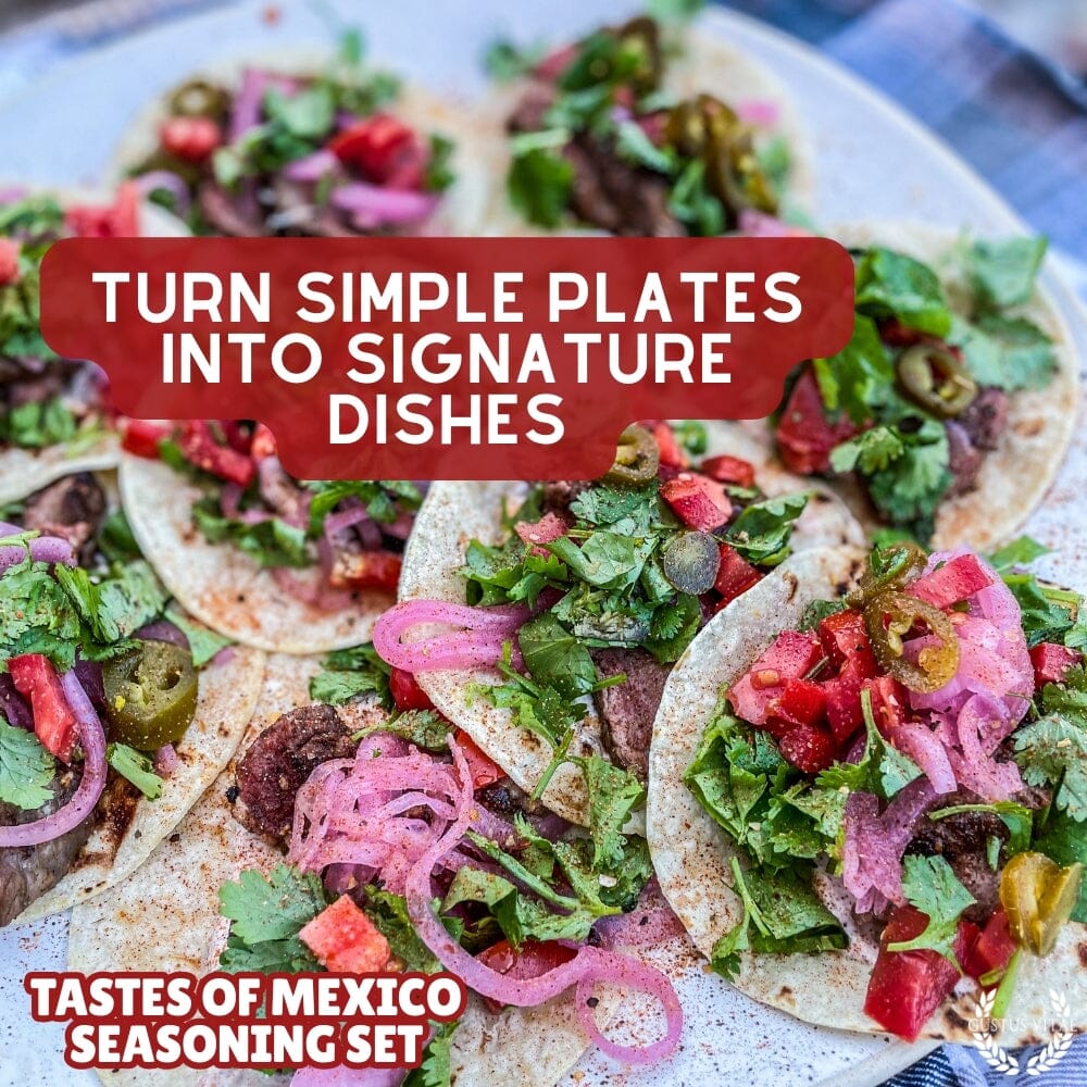 Mexican Seasoning Gift Set - Tastes of Mexico - Artisanal Spice Blends Six Pack