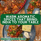 Taste of India: Masala Seasoning Blend